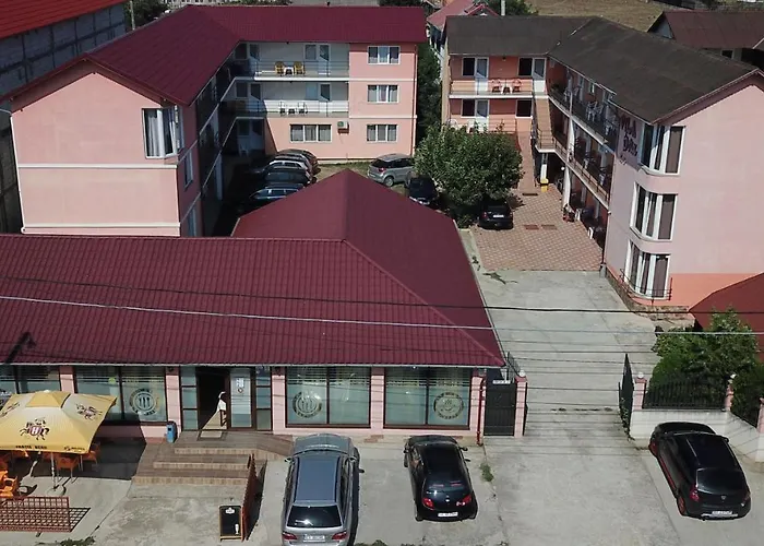 Dora Πανσιόν Costinești